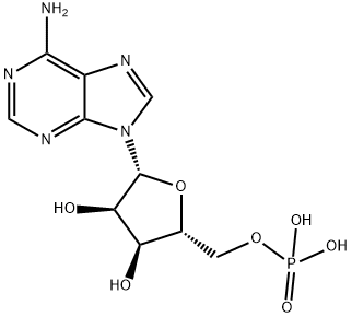 腺苷-5-一磷酸