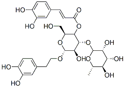 毛蕊花糖苷(麦角甾苷;阿克苷;类叶升麻苷)