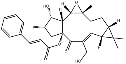 Jolkinol A