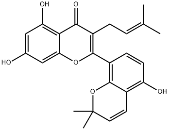 桑皮酮A