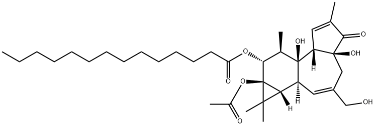 4α-佛波醇12-十四酸酯13-乙酸酯