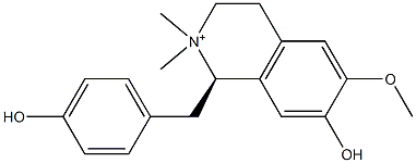 木兰箭毒碱;厚朴碱;厚朴箭毒碱;巨箭毒碱;Liriodenine