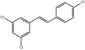 PDM 2