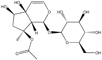 乙酰哈巴苷(8-O-乙酰哈巴苷)