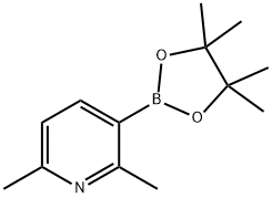 2,6-Dimethyl-3-(4,4,5,5-tetramethyl-1,3,2-dioxaborolan-2-yl)pyridine