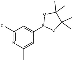 2-氯-6-甲基-4-(4,4,5,5-四甲基-1,3,2-二氧硼杂环戊烷-2-基)吡啶