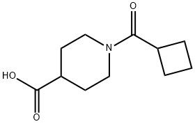 1-(环丁烷羰基)哌啶-4-羧酸