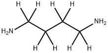 1,4-Butane-1,1,2,2,3,3,4,4-d8-diamine