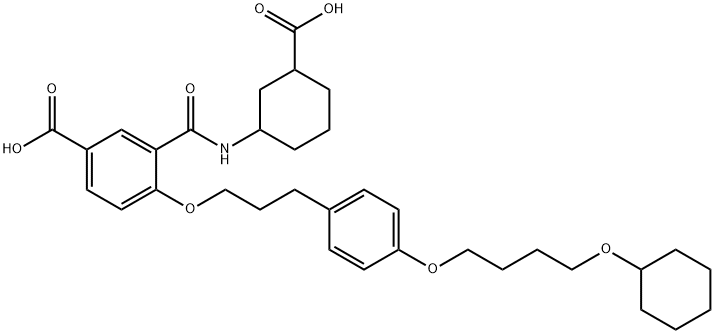 HAMI3379