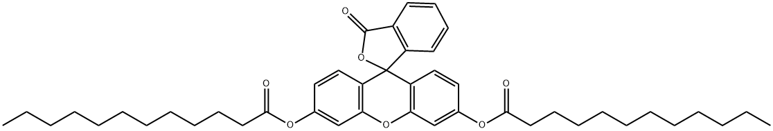 荧光素二月桂酯