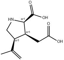 rac Kainic Acid