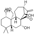 Kamebakaurine