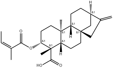 ent-3β-Angeloyloxykaur-16-en-19-oic acid