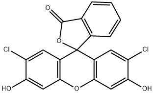 二氯荧光素