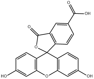 5-羧基荧光素