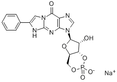 PET-cGMP