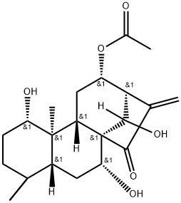 香茶菜乙素