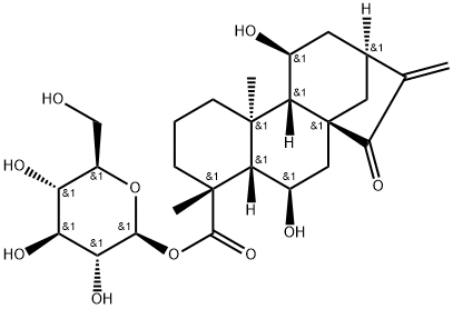 6β-Hydroxypaniculoside III