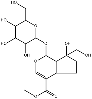 Splendoside