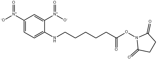 N-(2,4-二硝基苯基)-6-氨基己酸 N-琥珀酰亚胺酯