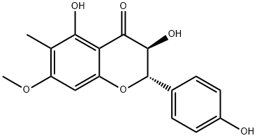 6-Methyl-7-O-methylaromadendrin