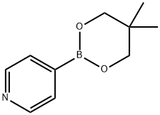 4-(5,5-二甲基-1,3,2-二氧杂硼杂环戊烷-2-基)吡啶