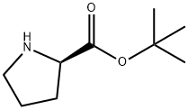 D-Proline tert-Butyl Ester