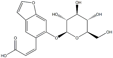 CasImg