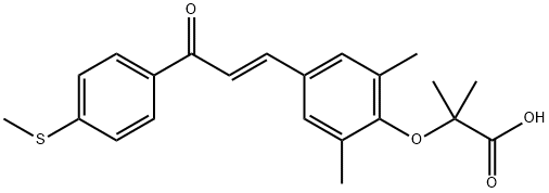 Elafibranor