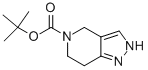 6,7-二氢-2H-吡唑并[4,3-c]吡啶-5(4H)-羧酸叔丁酯