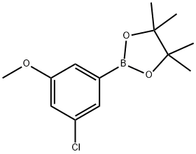 3-Chloro-5-methoxyphenylboronic acid, pinacol ester