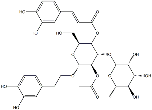 2'-乙酰毛蕊花糖苷;2-乙酰毛蕊花糖苷