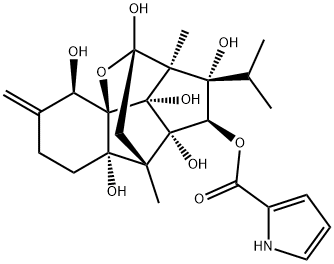 RUTINOSE(RG)