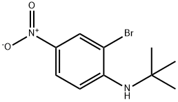 N-t-Butyl 2-bromo-4-nitroaniline