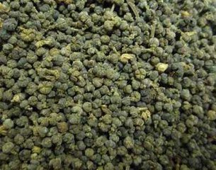 吴茱萸