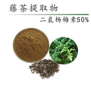 藤茶提取物 二氢杨梅素