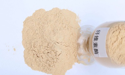 纤维素酶