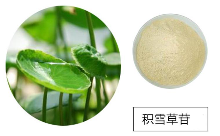 积雪草苷