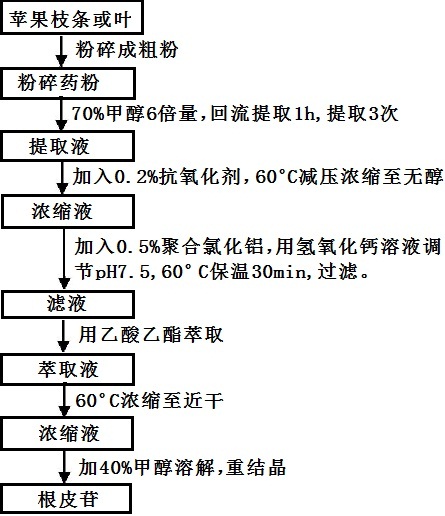 根皮苷提取的工艺流程